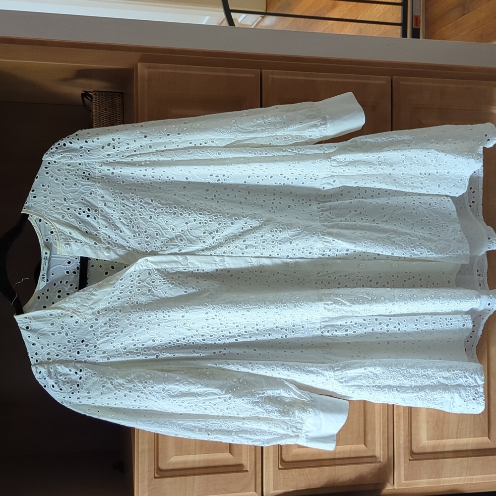 Zara long sleeve mini dress